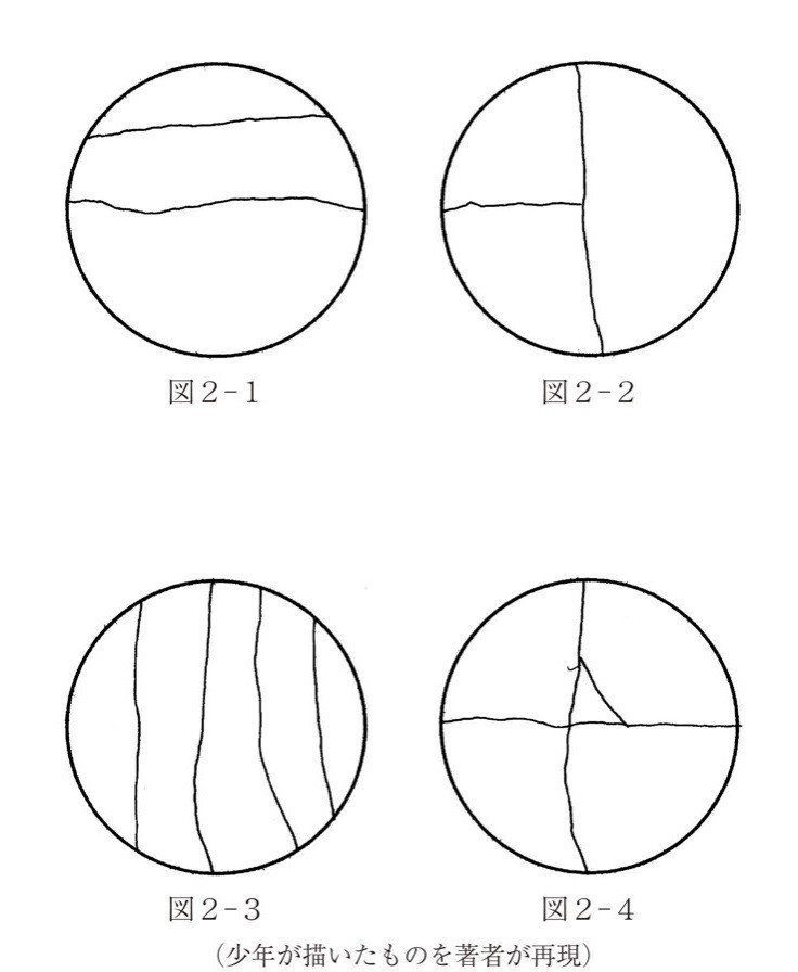 想像力の欠如が人を怒らせる ケーキの切れない非行少年たち 感想 にゃるら Note