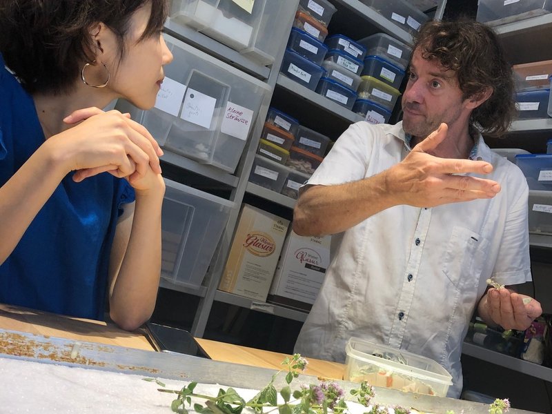 道端の花は宝石 お花の砂糖漬けが目開かせてくれたこと 岡根谷実里 世界の台所探検家 Note 道端の花は宝石 お花の砂糖漬けが目開かせてくれたこと 岡根谷実里 世界の台所探検家 Note