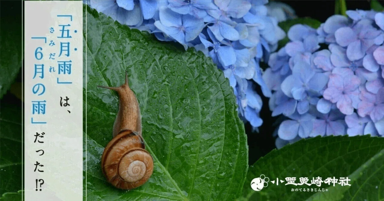 6月なのに「五月雨」なのはなぜ？「五月雨（さみだれ）」の秘密に迫る
