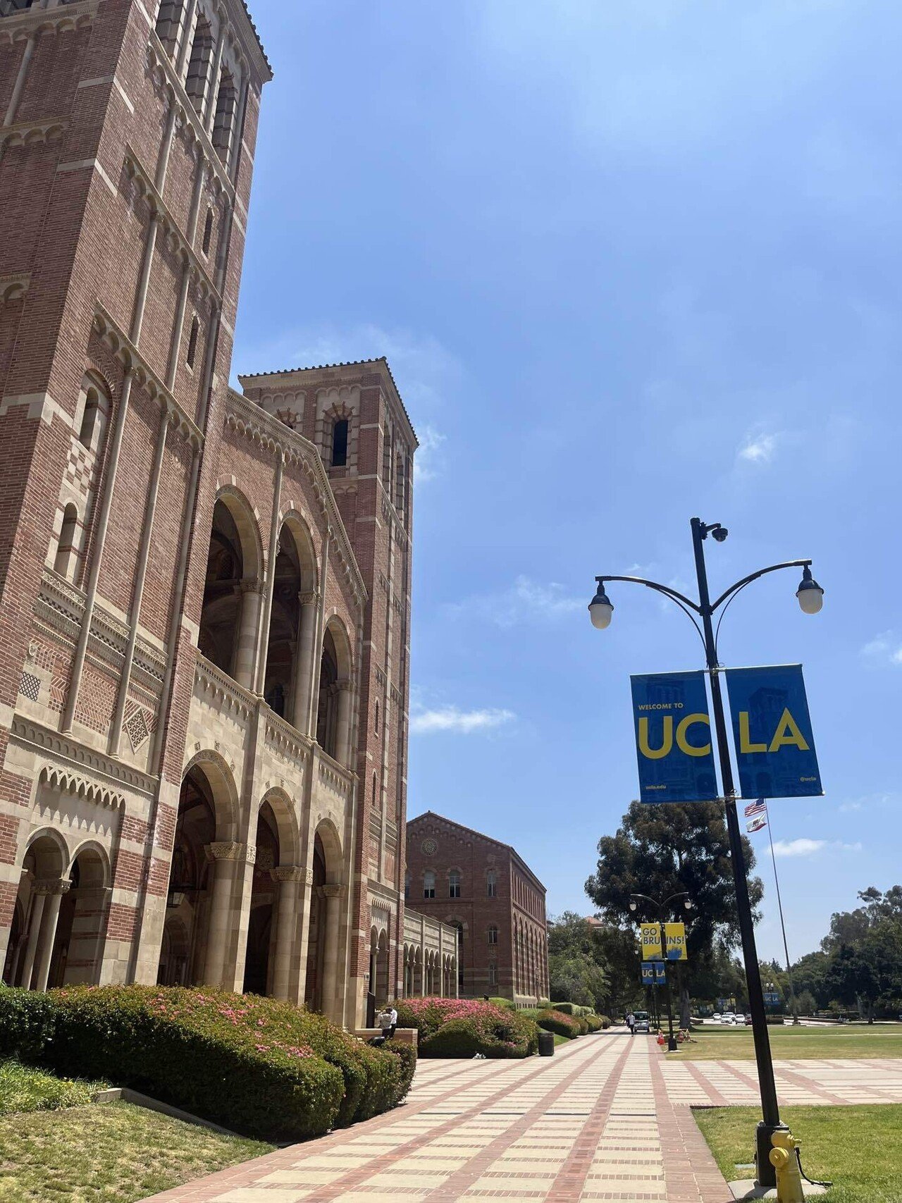 アメリカ社会人留学（UCLA extension)、総額費用大公開＃LA留学｜Aya