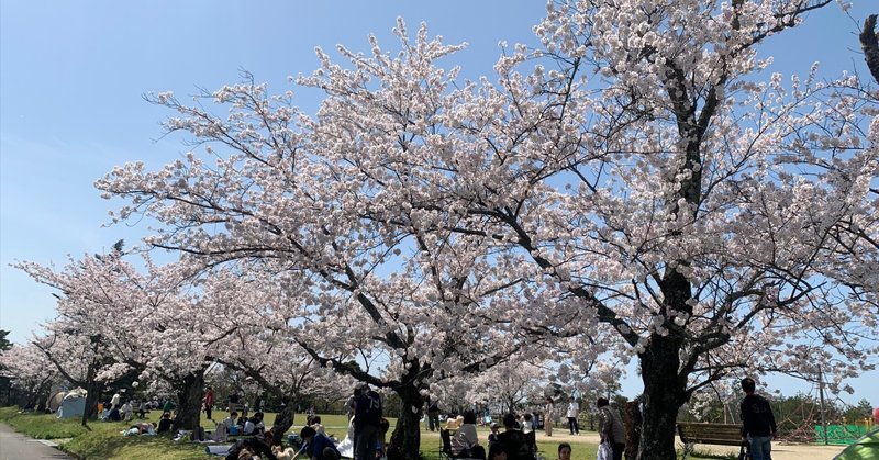 島根県桜の名所「一の谷公園」