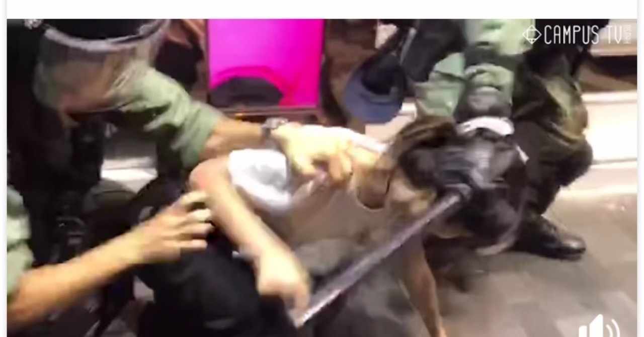 鈴木まりこ の新着タグ記事一覧 Note つくる つながる とどける