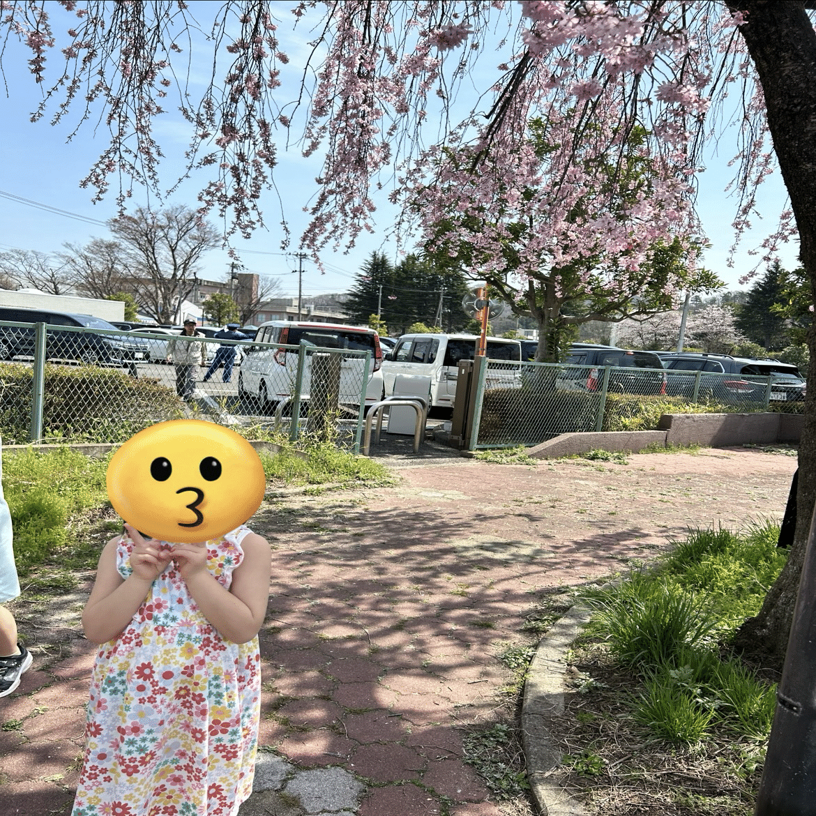 競馬なんて、事前情報なしにパドックだけ見て買うくらいが一番楽しい