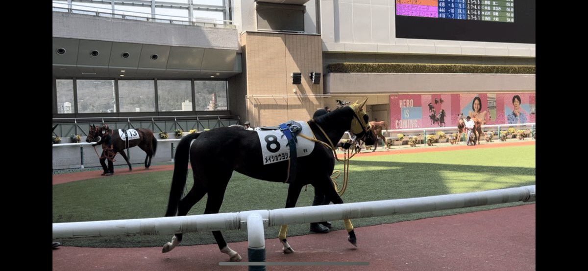 競馬なんて、事前情報なしにパドックだけ見て買うくらいが一番