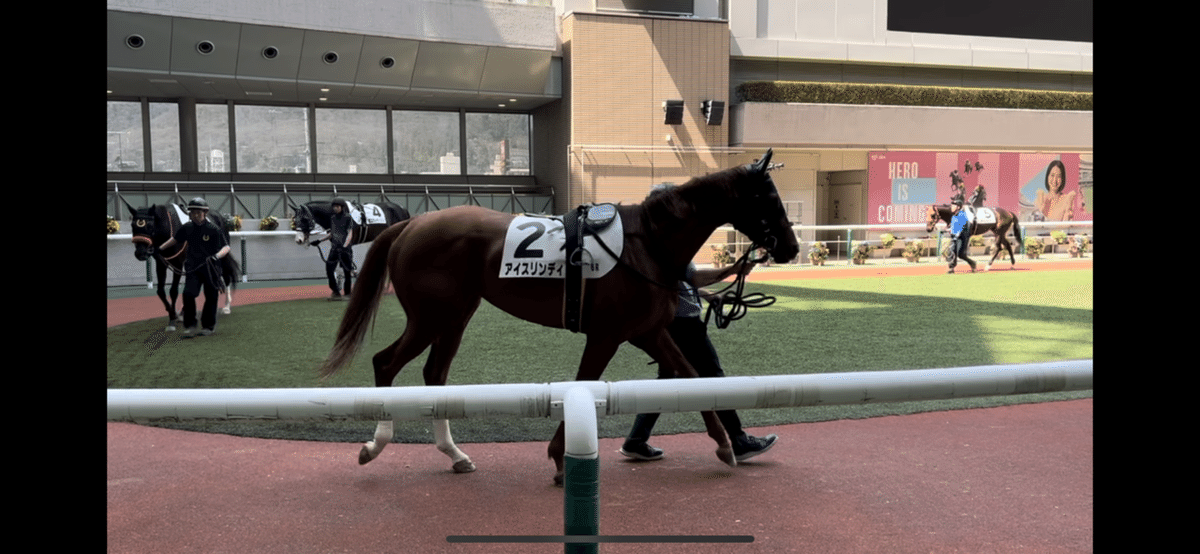 競馬なんて、事前情報なしにパドックだけ見て買うくらいが一番