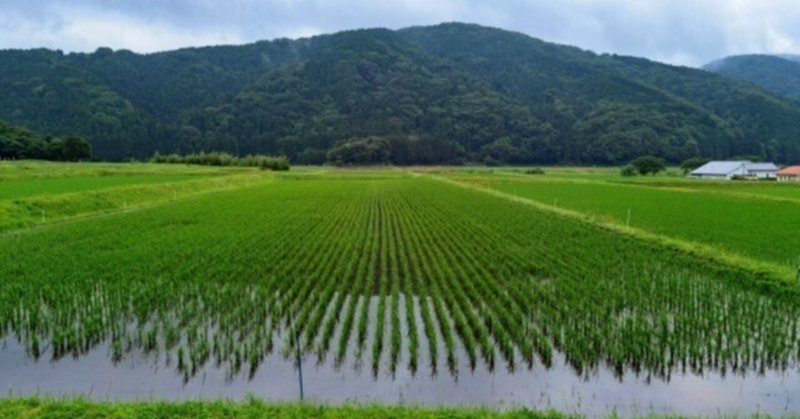 条里制の起源と日本社会の「沼地」的あり方の関わり？