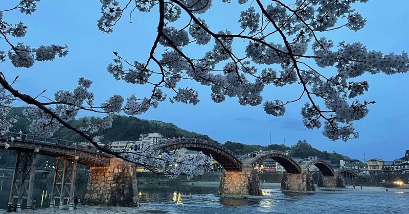 【おでかけ】私が見た美しい桜の名所🌸錦帯橋
