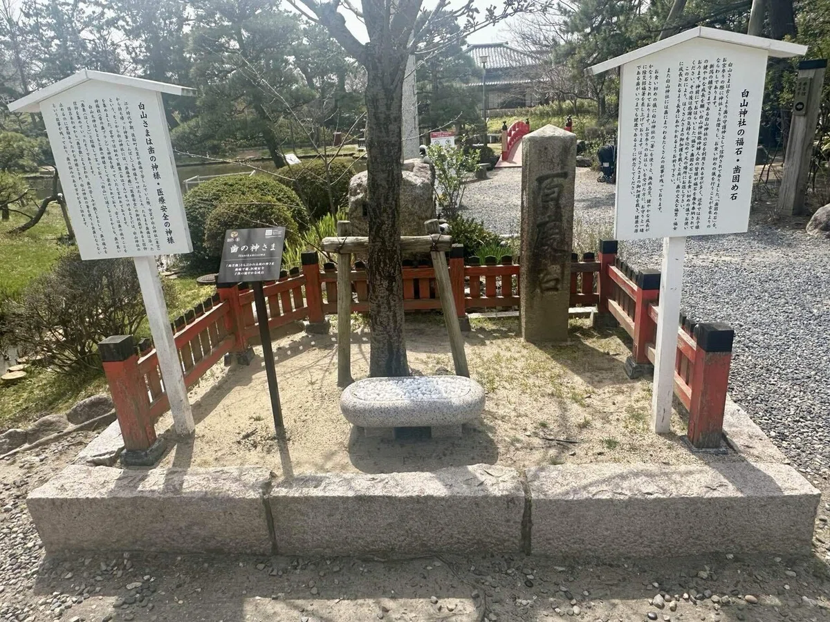 歯固め石