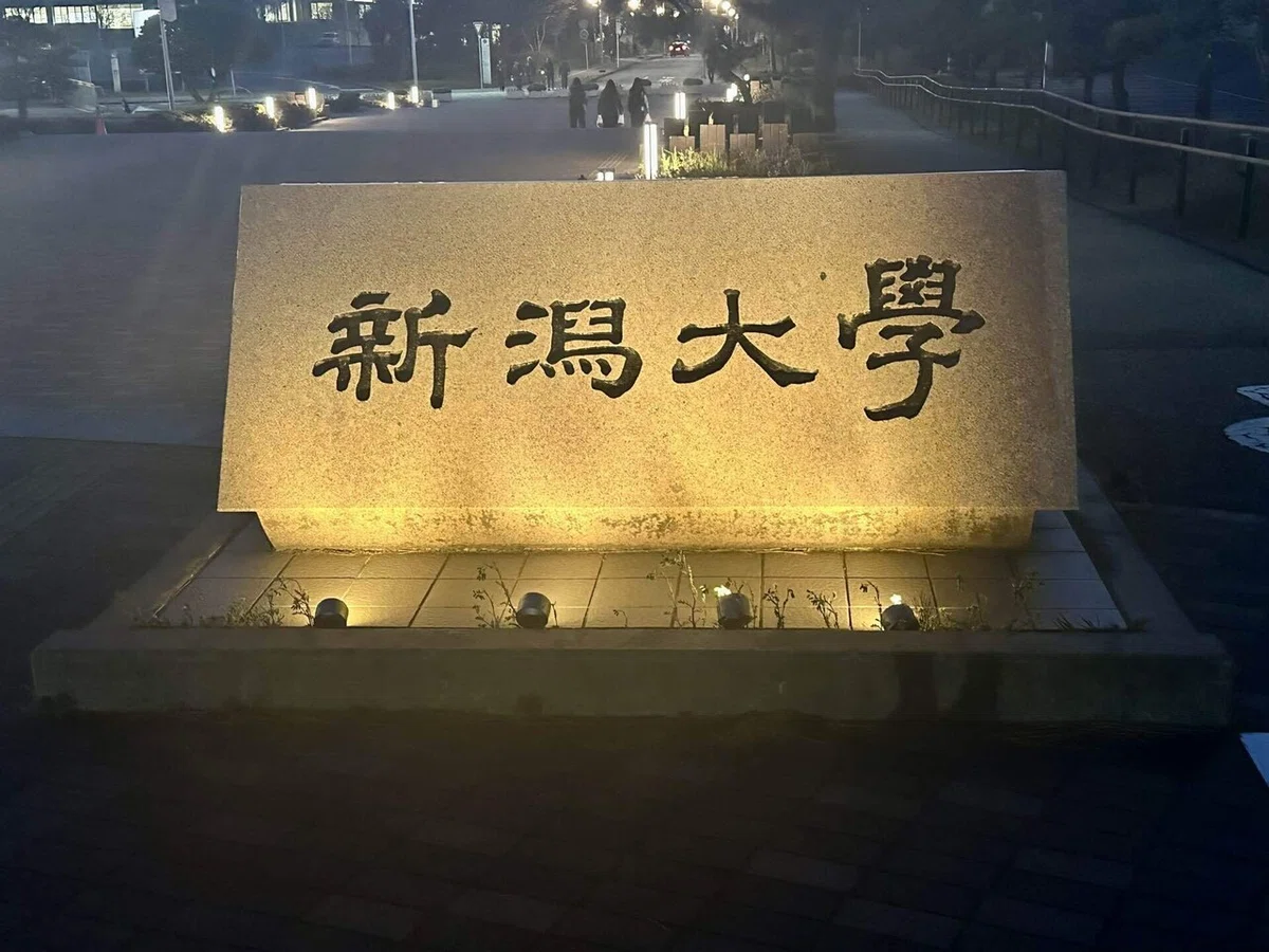 新潟大学