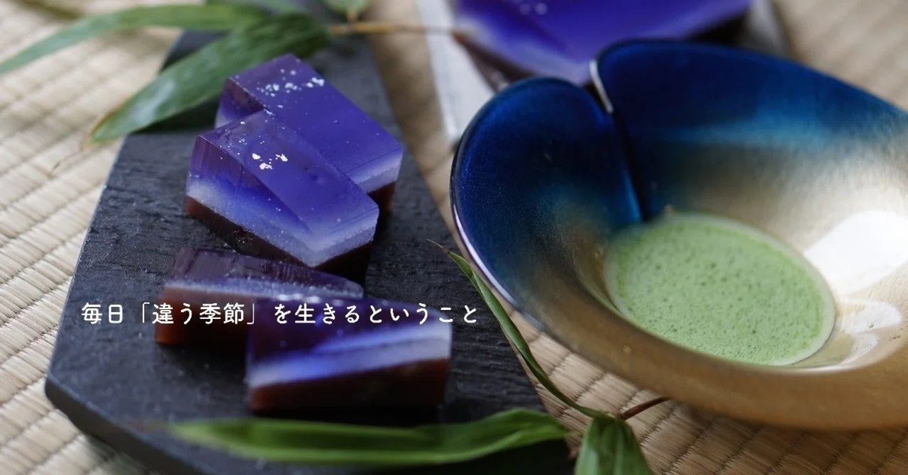 Living in a 'Different Season' Every Day｜矢島 愛子 / Teaist🍵