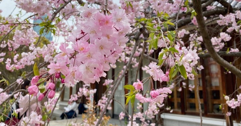 「幸せな人生ですね？そうでしょ？羨ましいでしょ？」