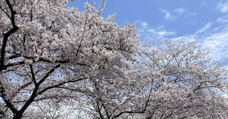 3月にもらった配当金【お金について考える】