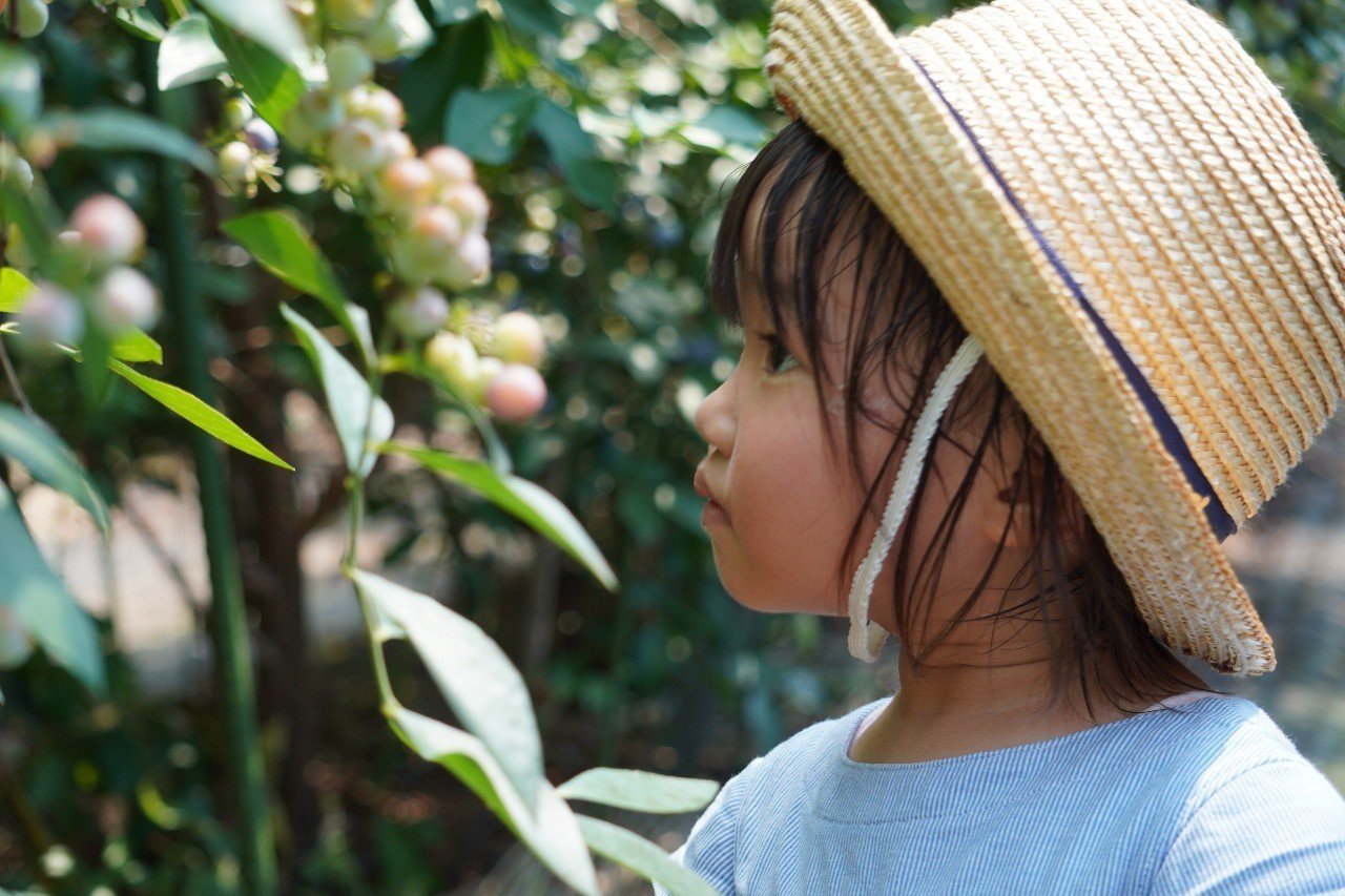 幼稚園児との夏休み Shunji Saito Note