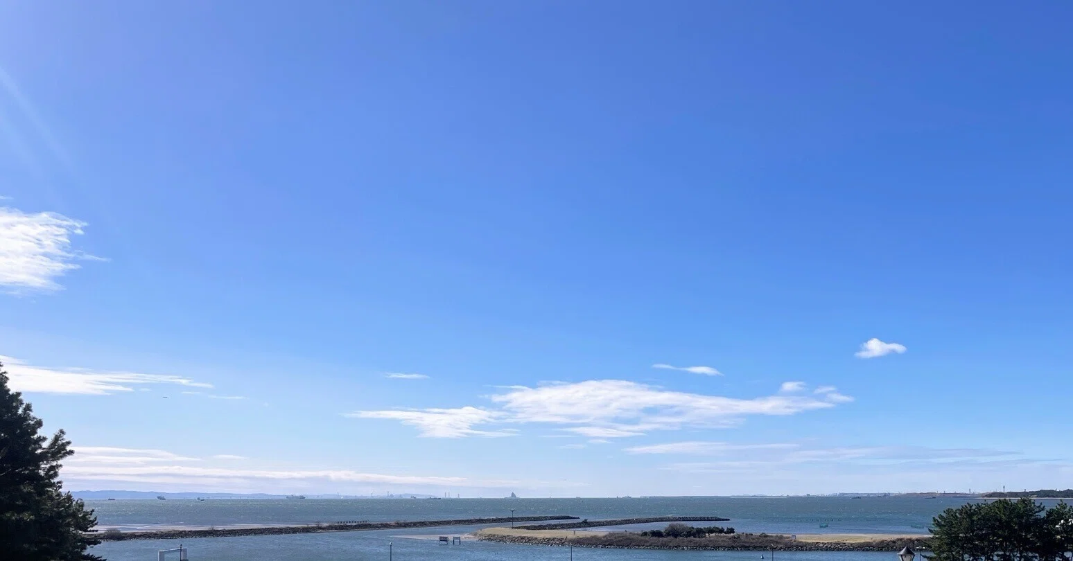 没後50年 福田平八郎：6 ／大阪中之島美術館｜美術館とお寺と猫