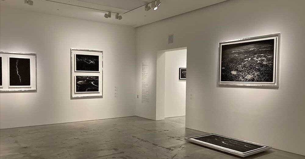 高木由利子写真展「chaoscosmos vol.2 -sakura-」 「無秩序の自然現象