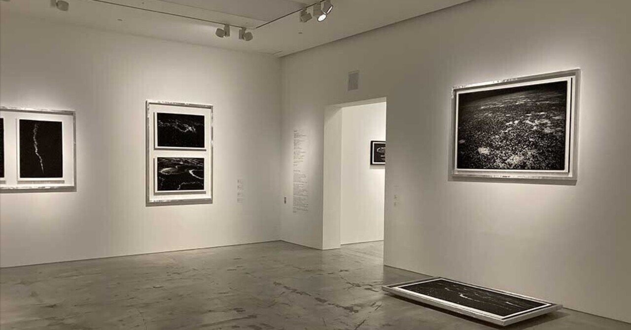 高木由利子写真展「chaoscosmos vol.2 -sakura-」 「無秩序の自然現象