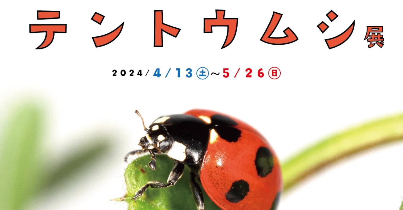 2024年、春の企画展「テントウムシ展」のお知らせ｜竜洋昆虫自然観察公園