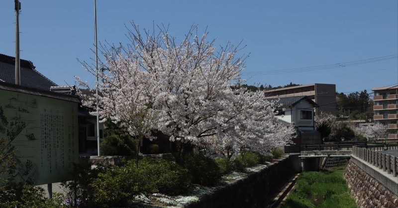 七日恵比寿の出会い