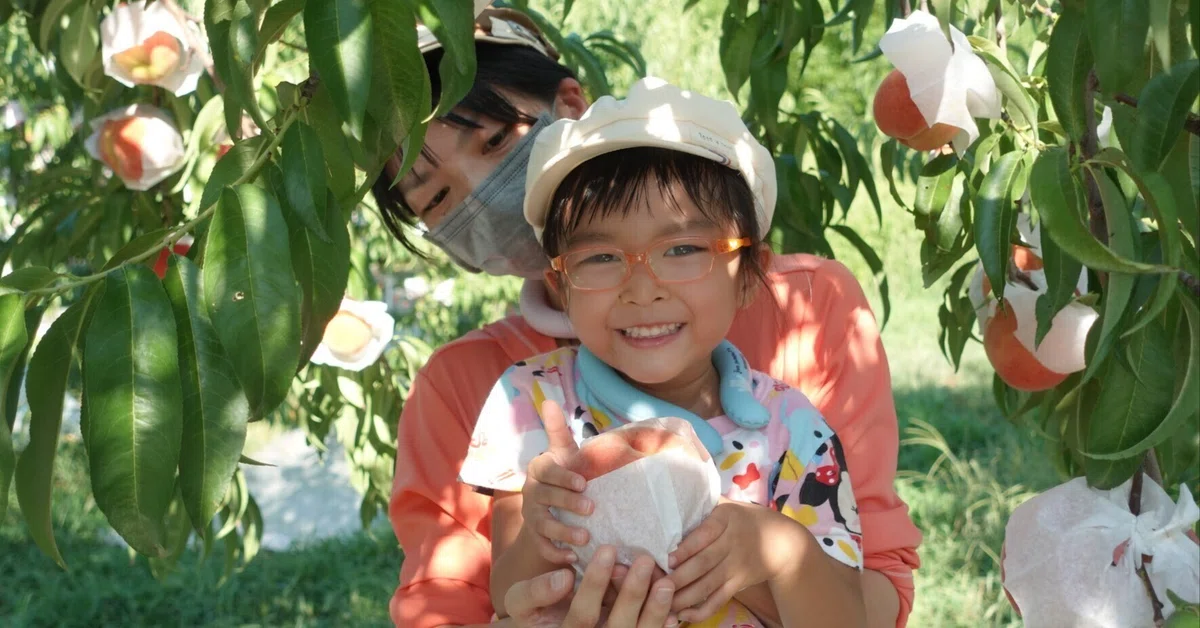 新しいリビング中国の桃の木のストラップ9 桃の木オーナー制度2024／7つの楽しみ方＞｜クニミノマド オーナー制度