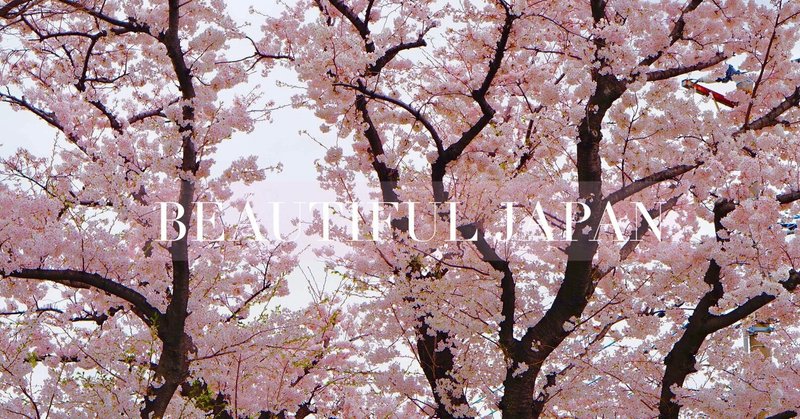 BEAUTIFUL JAPAN -日本の美 桜- 古の日本美　ヤマトの国とカタカムナ