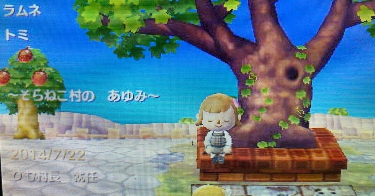 さようなら3DS、さようならとび森｜りむりーな