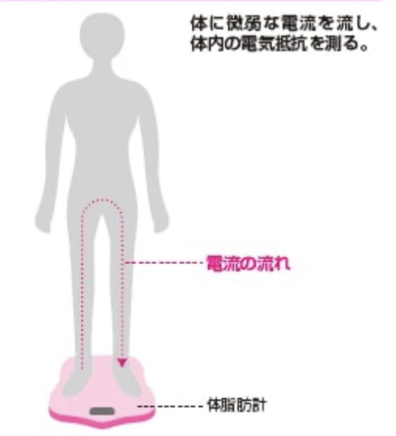 健康維持に体脂肪計｜余談が好き 技術な話