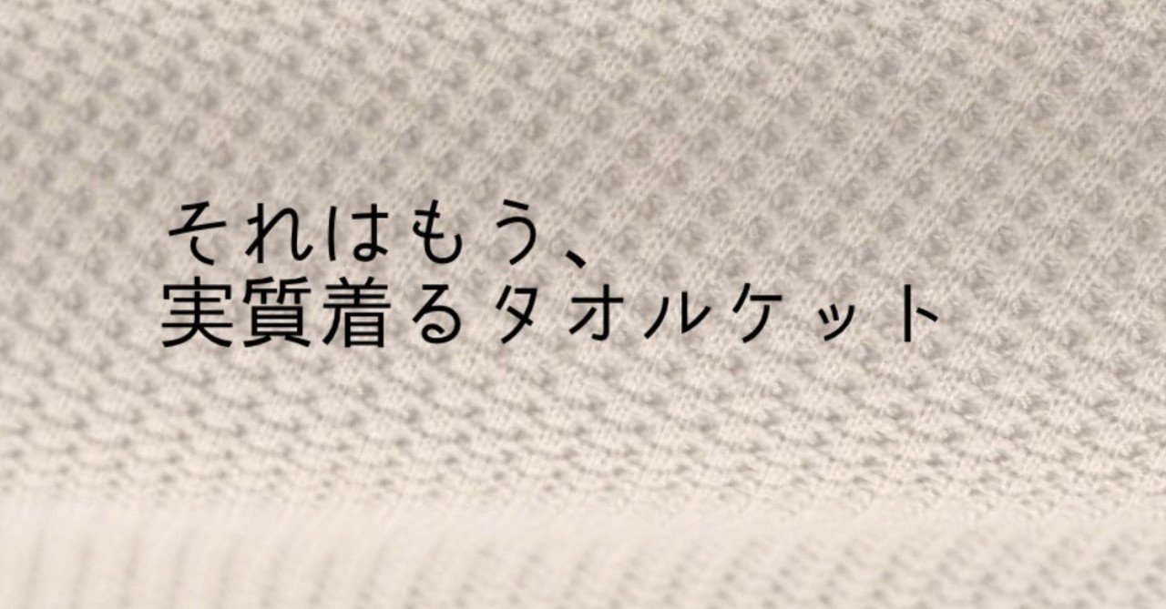 それはもう 実質着るタオルケット てつし Note
