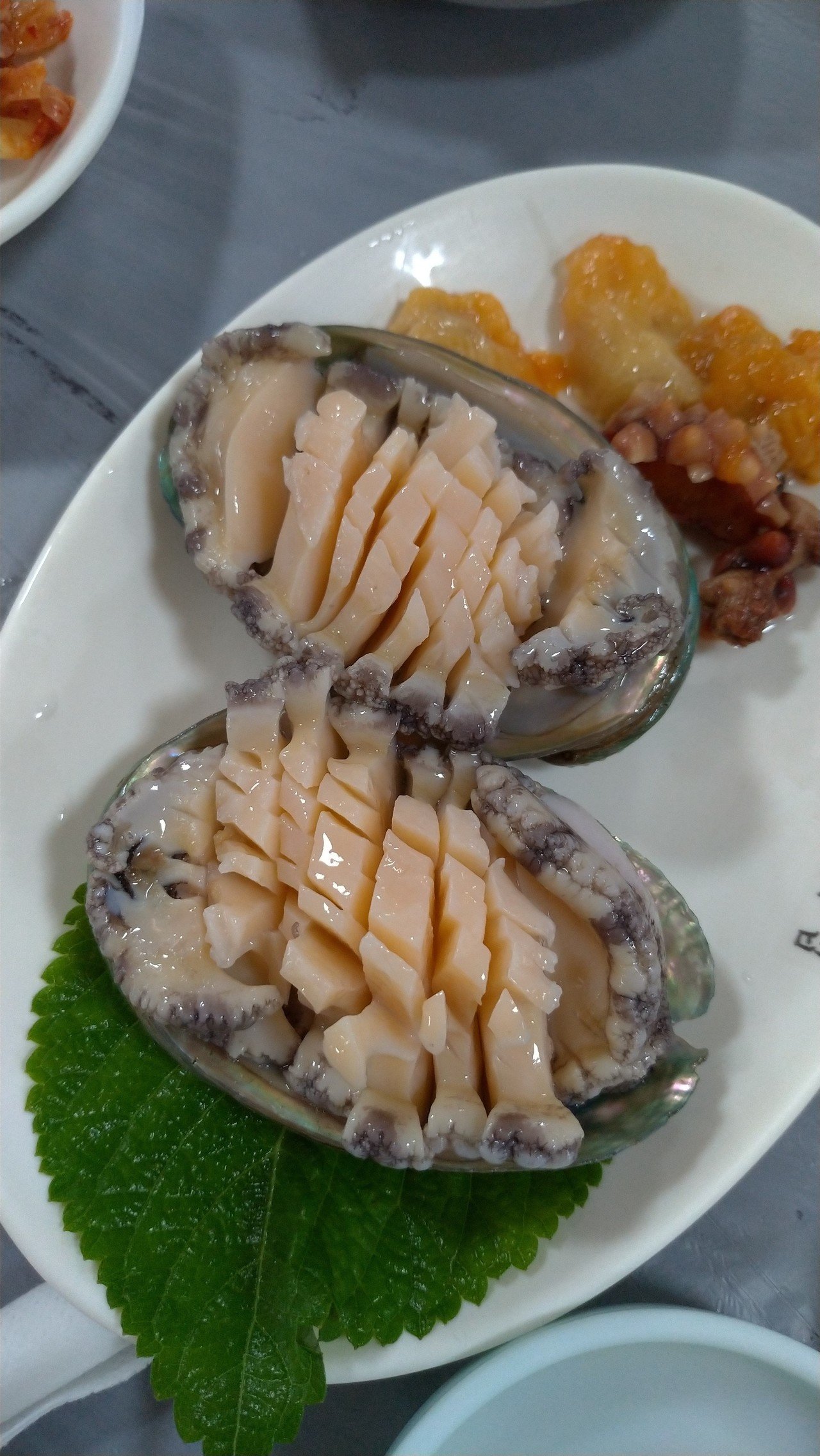 釜山飯ときどきネコ その４（最終回）！｜猫写真家・森永健一/モリケン 