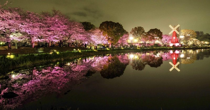 浮間公園の夜桜ライトアップ2024: 東京の隠れた春の宝石