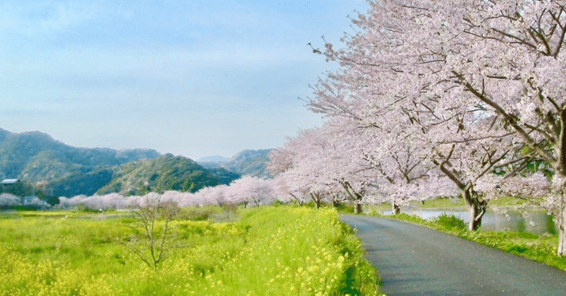 あの場所から見える今年の桜を、君にも届けたくて