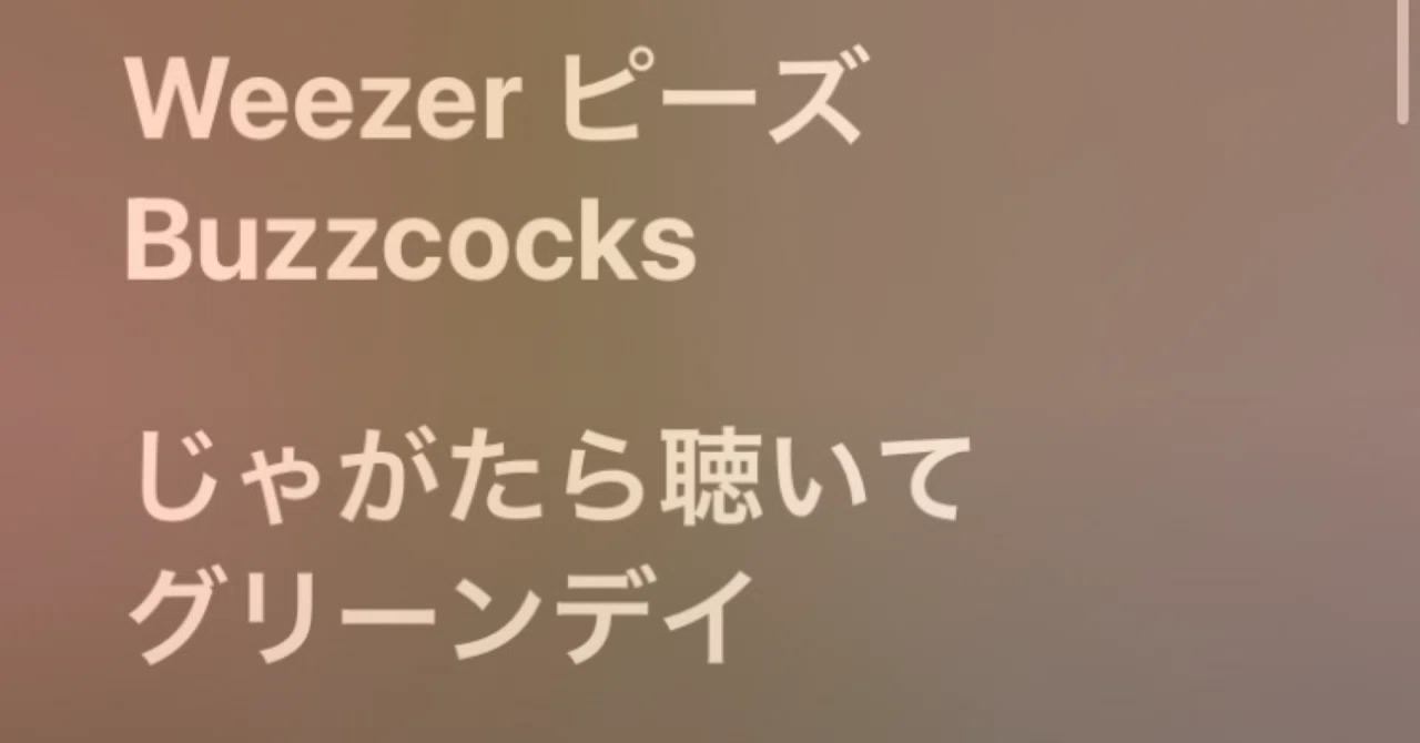 GAMITS レコード Green day weezer 銀杏BOYZ ゴイステ