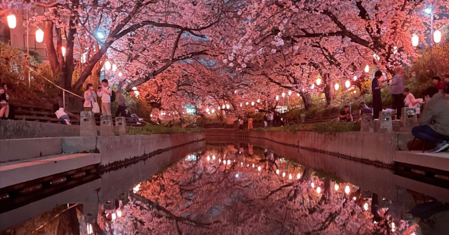 d269c0149b2eb95284d55a363ff063