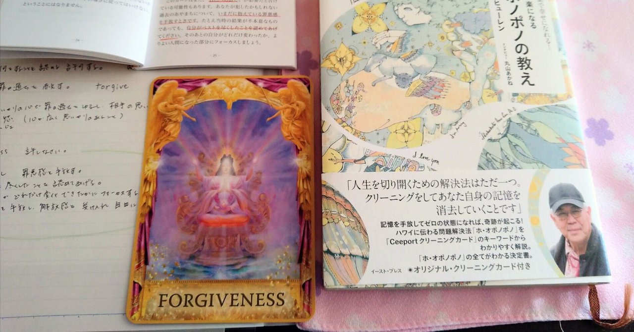 🪶羽毛感覚🪶｜noricoracle（のりこらくる）