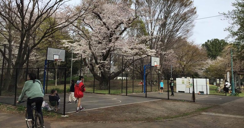 【詩的実験】 季節の桜