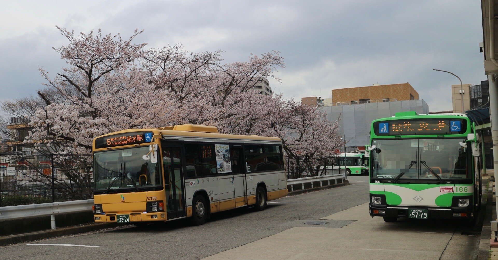 218e19ccc88f558e0e749dc6e51986