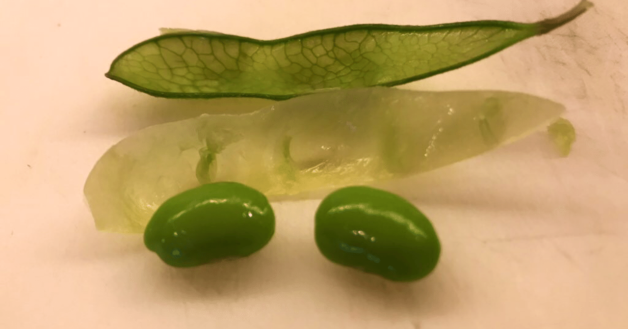 もったいない食材辞典8 枝豆の皮 マツダミキヲ 料理人 Note もったいない食材辞典8 枝豆の皮 マツダミキヲ 料理人 Note