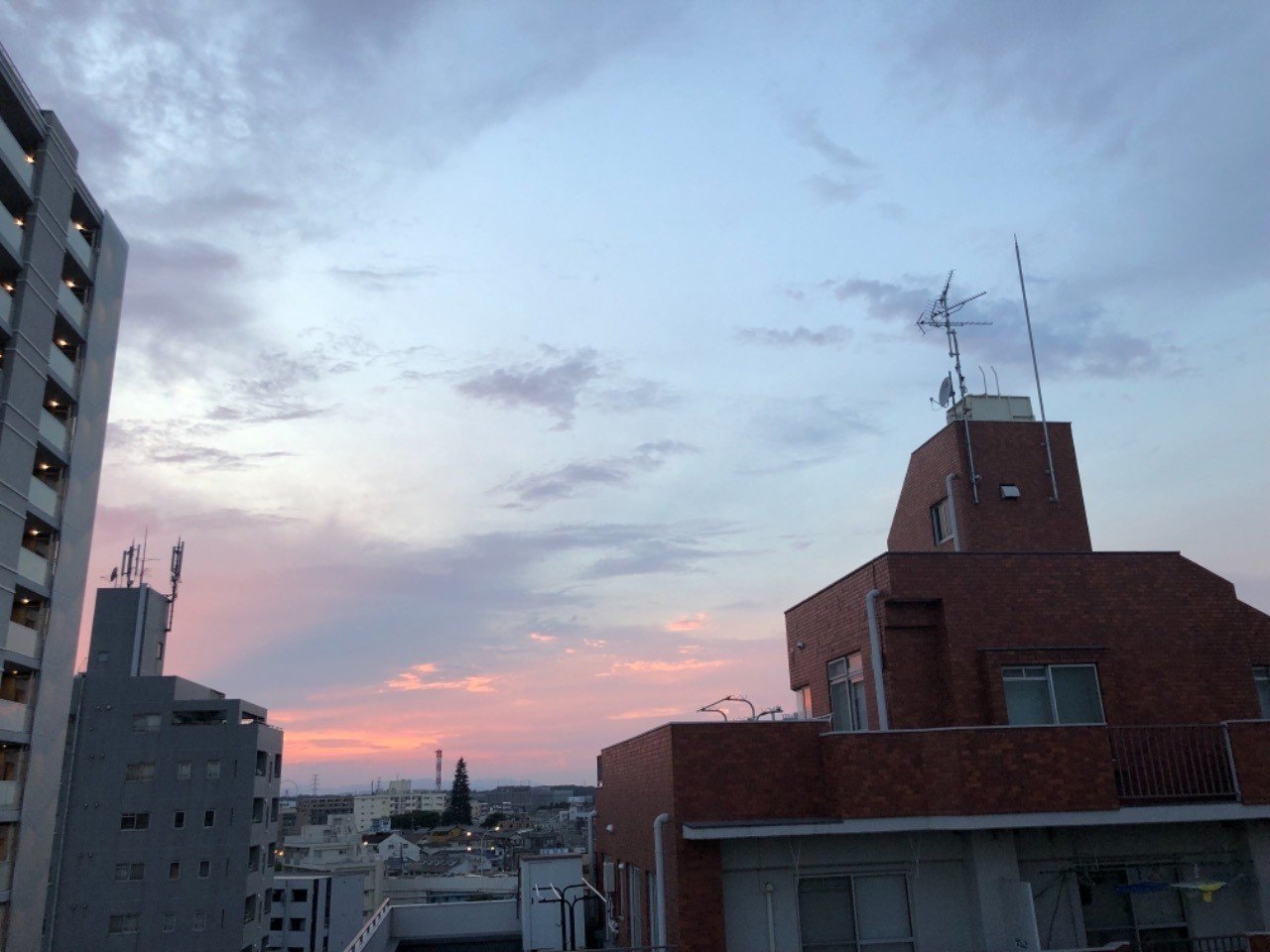 僕の夏休み という作文｜photonsphi