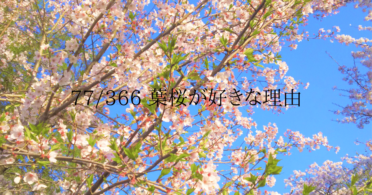 11926140618_3