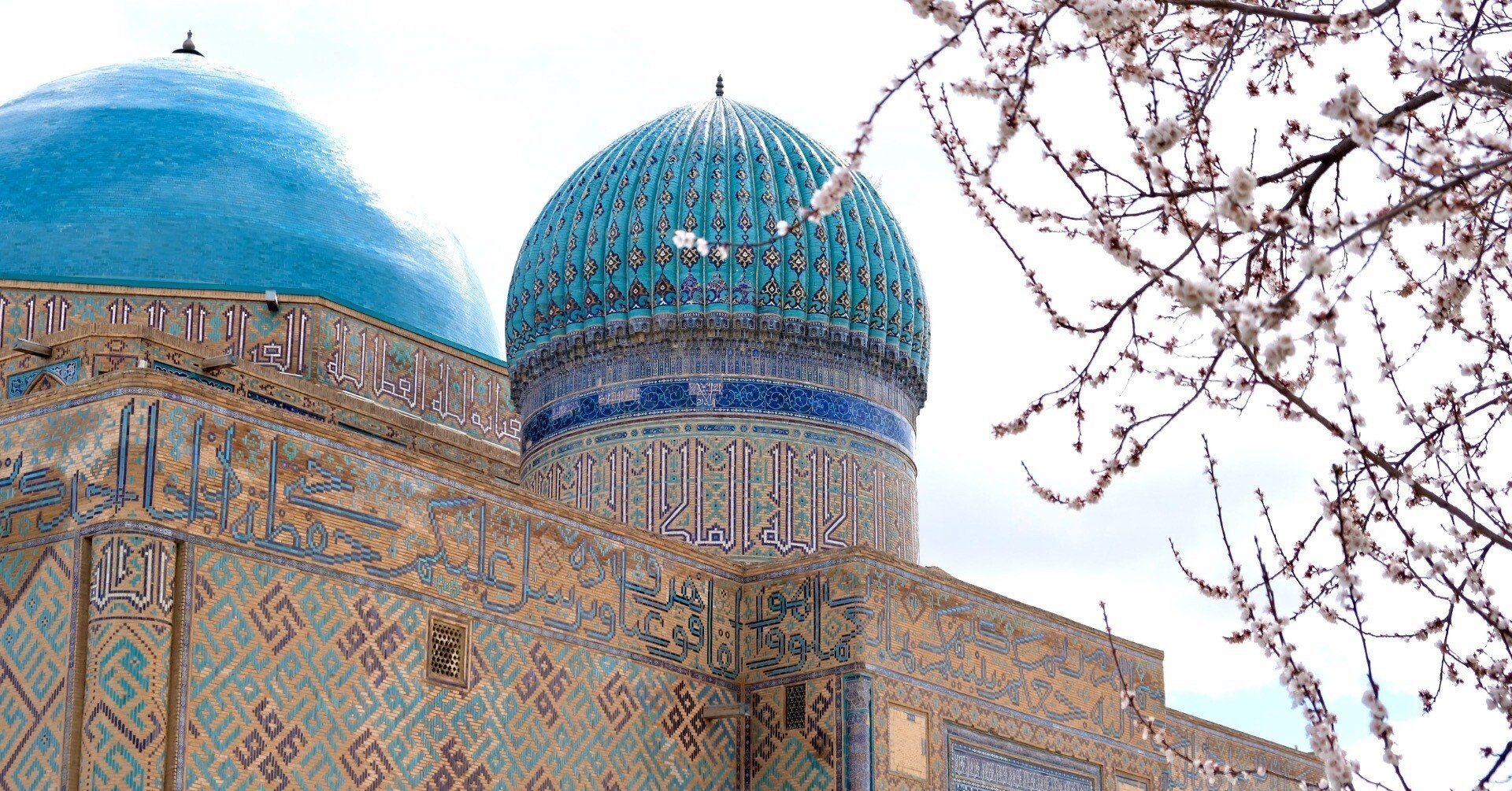 春のカザフスタンで手に入れた、たったひとつの旅のお土産｜手塚 大貴