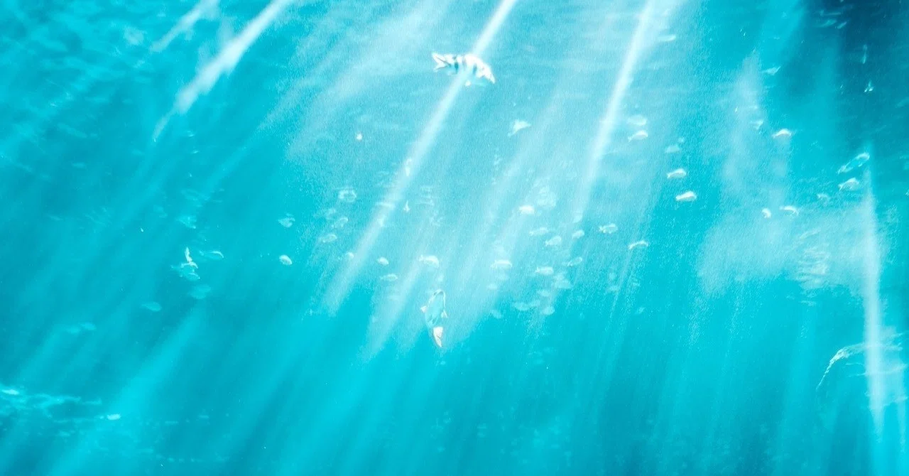 ネットの海で溺れないために 永代 明介 Note