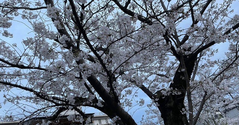 おもてなしの京都