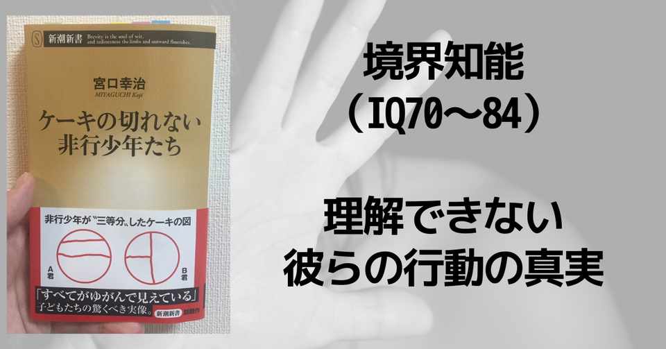 境界知能 なぜ衝動を抑えられない ふうちゃん 読書ソムリエ Note