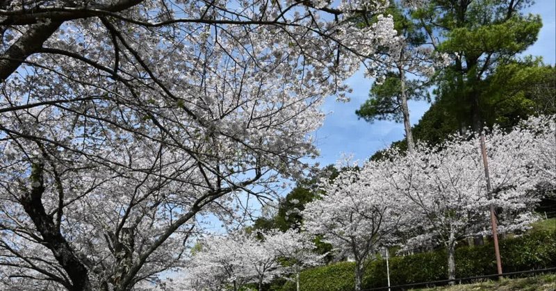 学校に行かないという選択