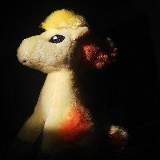 筆者が思う強そうな苗字一覧 まて茶 Note