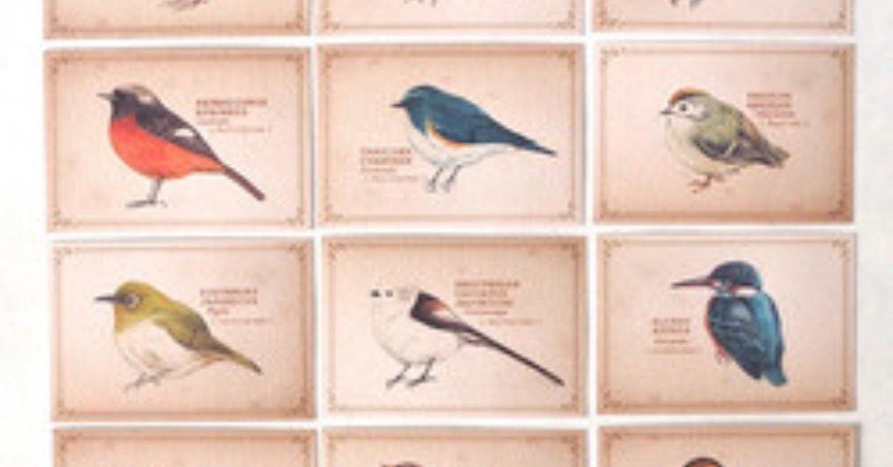 第477回 おかしな野鳥の学名 翆野 大地 Note