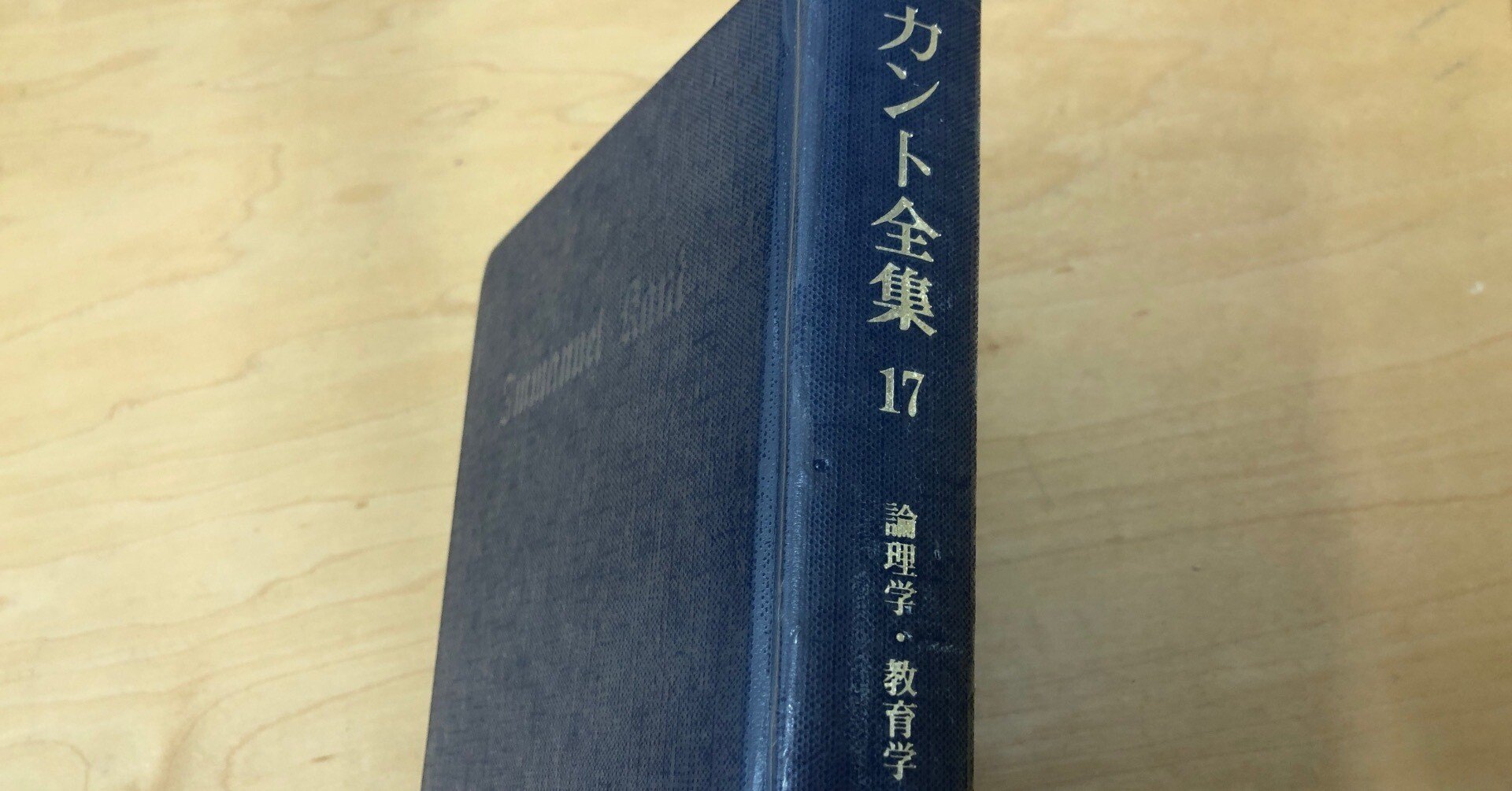 カント全集 17 (論理学・教育学) カント全集 17 (論理学・教育学)