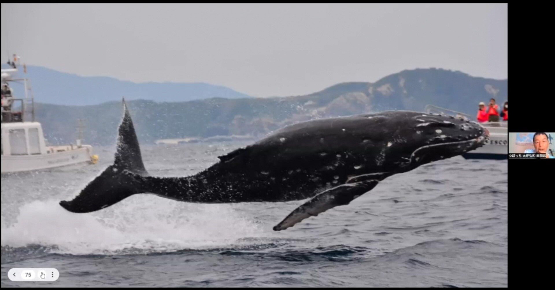 e0a8a9eaf3faea9a698bdb4508499d