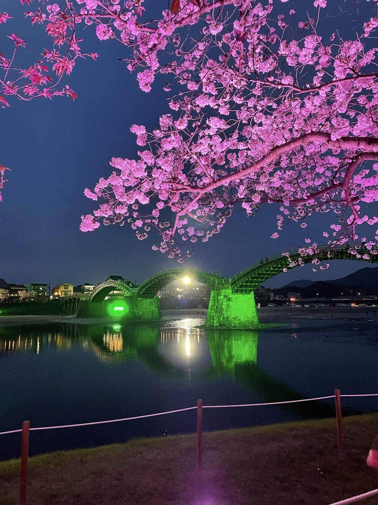 レア 岩国基地 2017 桜 SAKURA 日本 – FTB 2.2 (Fukuda Travel Bureau)