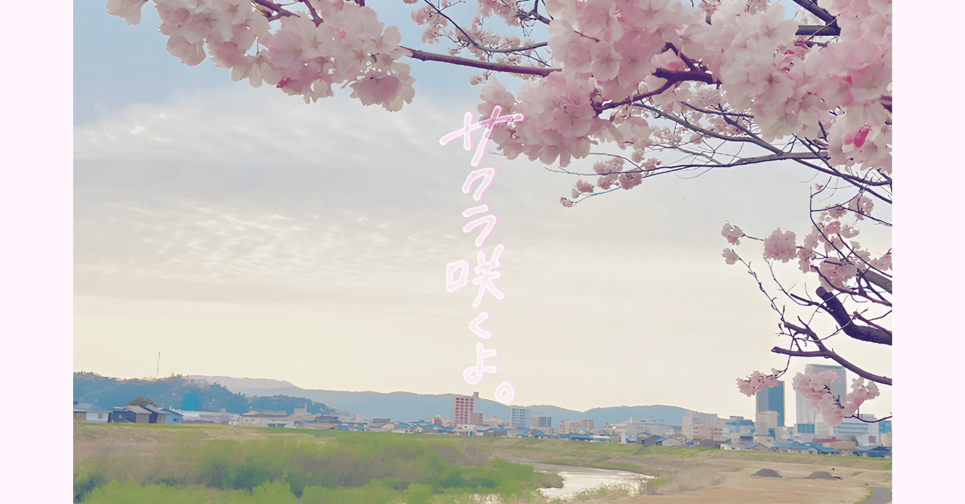 新曲「サクラ咲くよ。」作詞：護國まい シングルジャケット＆歌詞公開