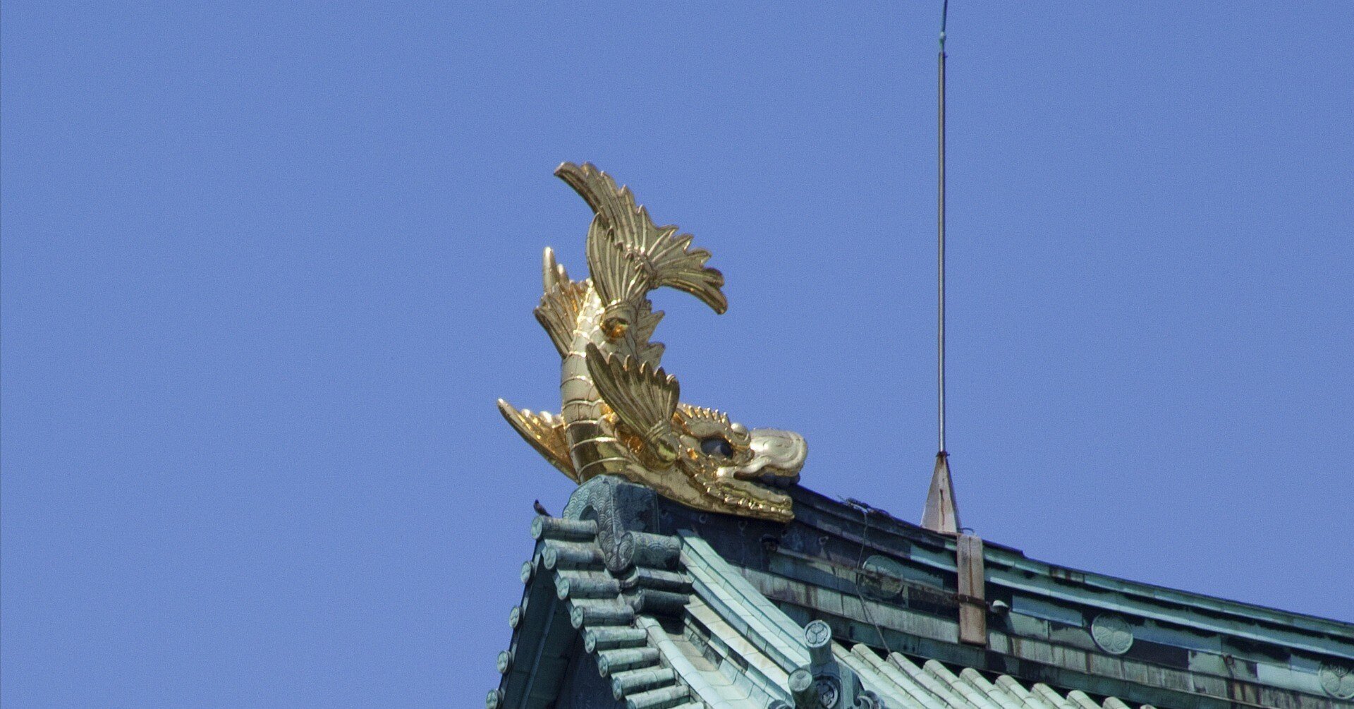 919b7631715f564fa22fa0d606ce6c